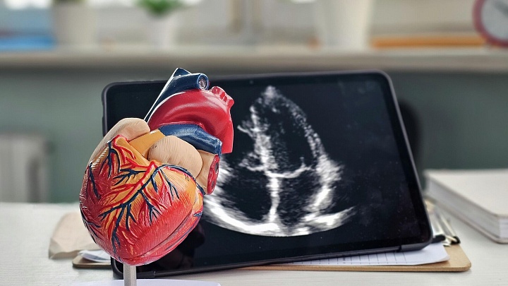 Ученые предложили методы ИИ для диагностики и лечения болезней сердца
