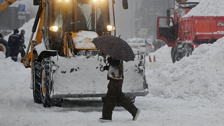Раскрыто, как обильные снегопады отразятся на урожае в России